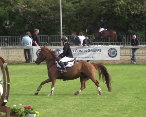 Reitturnier Düren - An der Kuhbrücke 2016