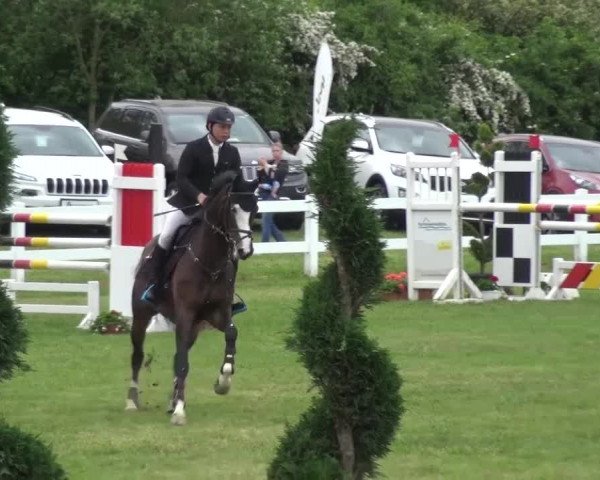Reitturnier Düren - An der Kuhbrücke 2016