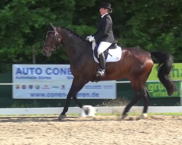 Reitturnier Düren - An der Kuhbrücke 2016