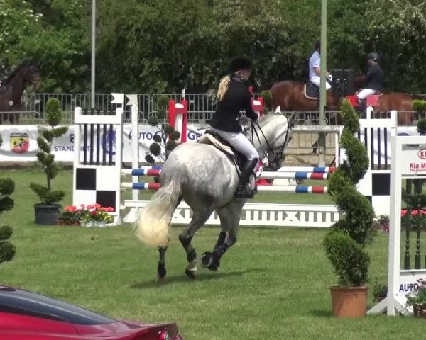 Reitturnier Düren - An der Kuhbrücke 2016