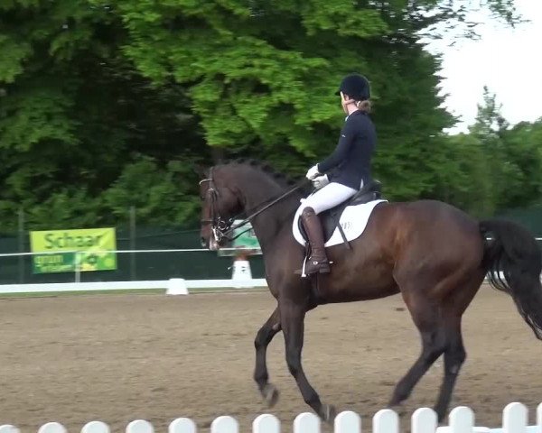 Reitturnier Düren - An der Kuhbrücke 2016