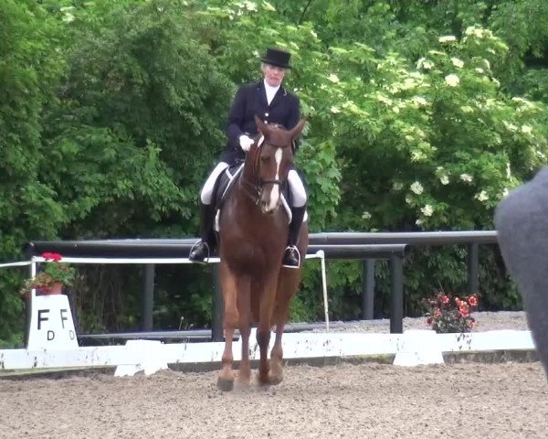 Reitturnier Düren - An der Kuhbrücke 2016