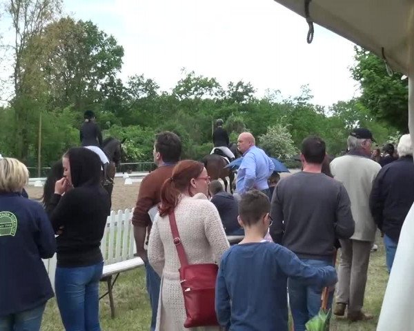 Reitturnier Düren - An der Kuhbrücke 2016