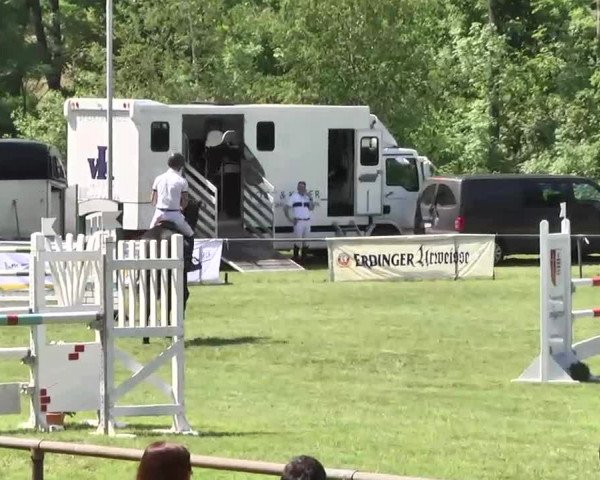 Reitturnier Leingarten 2016