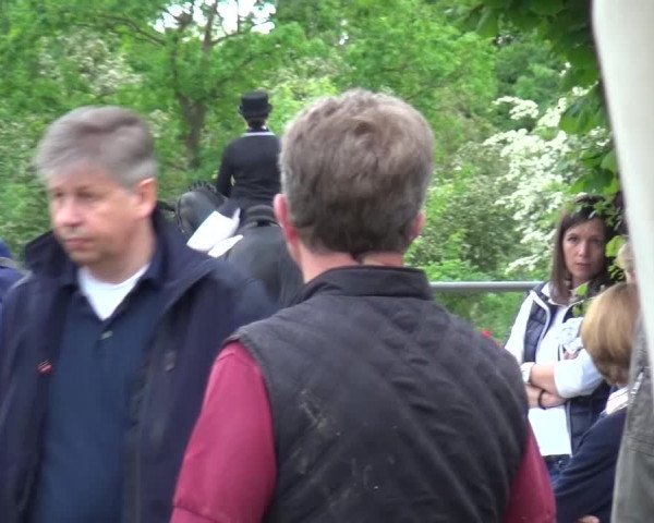 Reitturnier Düren - An der Kuhbrücke 2016