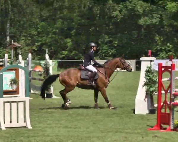 Reitturnier Leingarten 2016