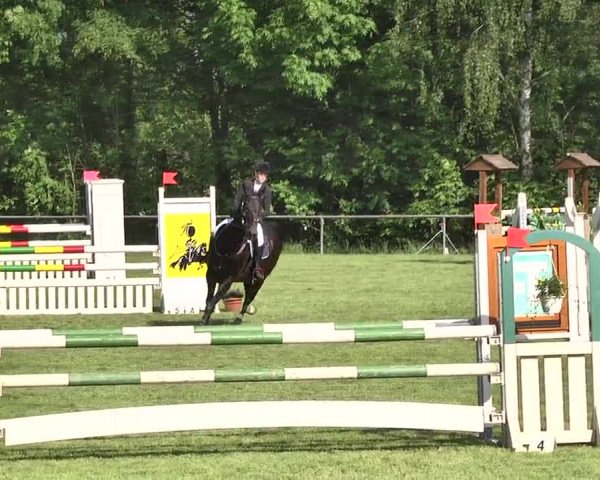 Reitturnier Leingarten 2016