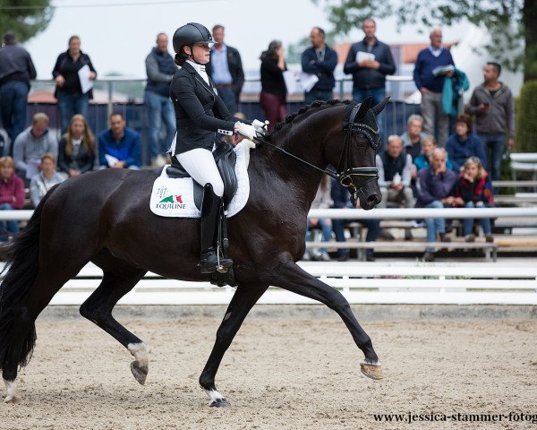dressage horse Salvina (Bavarian, 2013, from Genesis)