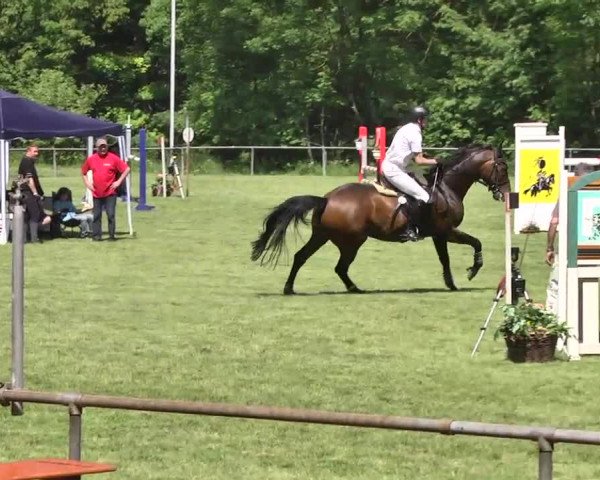 Reitturnier Leingarten 2016