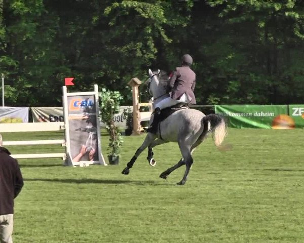 Reitturnier Leingarten 2016