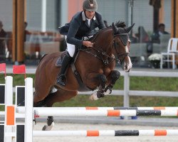 jumper Jolie Fleur (Belgian Warmblood, 2009, from Pkz Contact van de Heffinck)