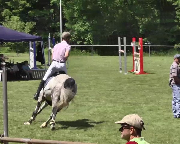 Reitturnier Leingarten 2016