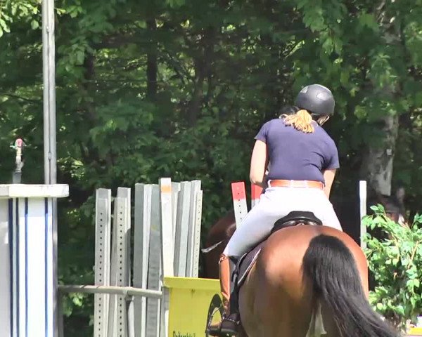 Reitturnier Leingarten 2016