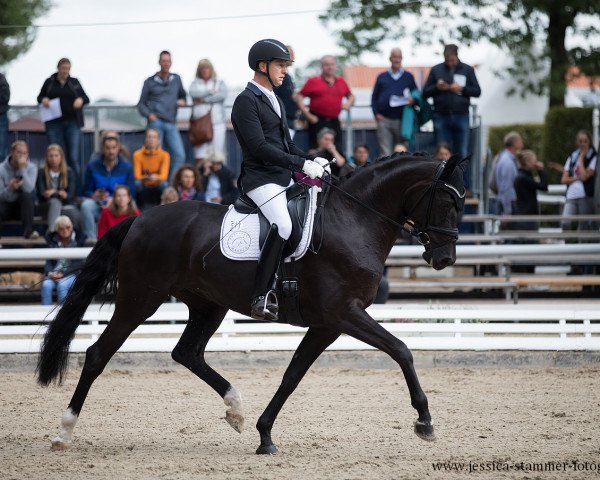broodmare Heidebluete Z OLD (Oldenburg, 2013, from De Niro)