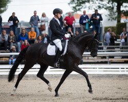 broodmare Heidebluete Z (Oldenburg, 2013, from De Niro)