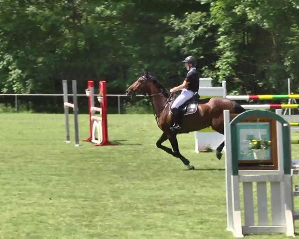Reitturnier Leingarten 2016