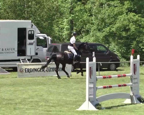 Reitturnier Leingarten 2016