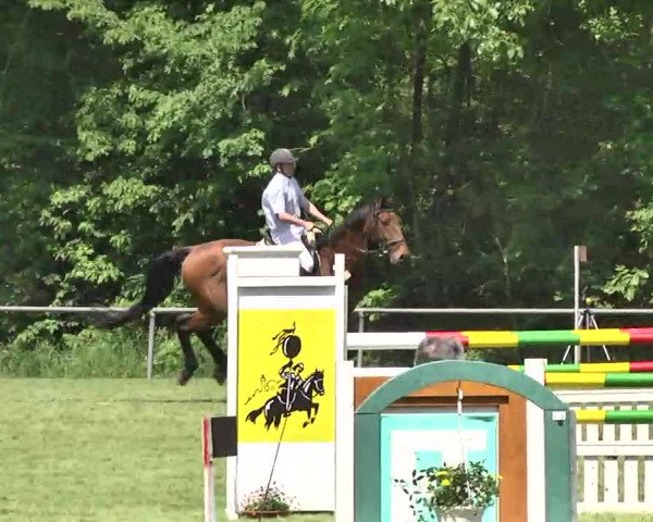 Reitturnier Leingarten 2016