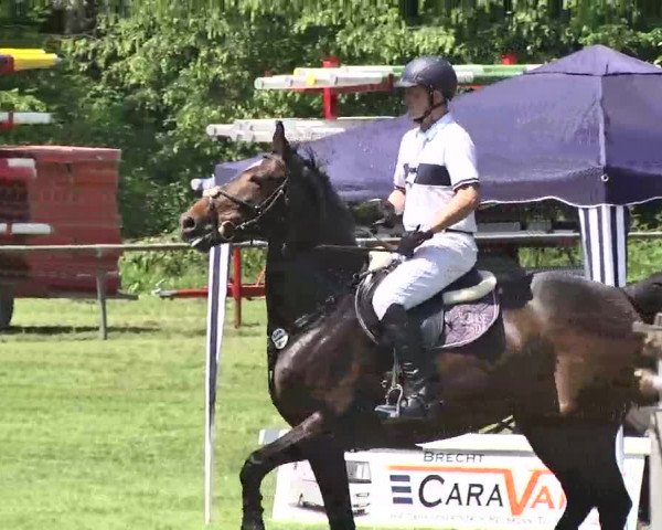 Reitturnier Leingarten 2016