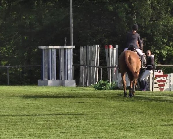 Reitturnier Leingarten 2016