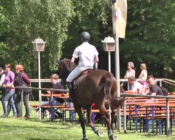 Reitturnier Leingarten 2016