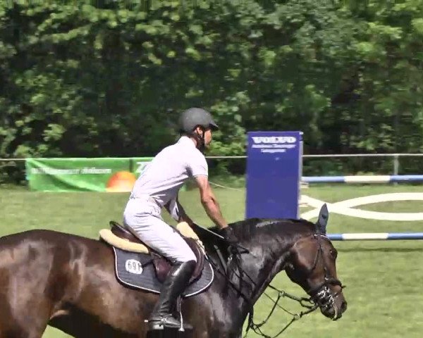 Reitturnier Leingarten 2016