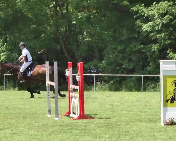 Reitturnier Leingarten 2016