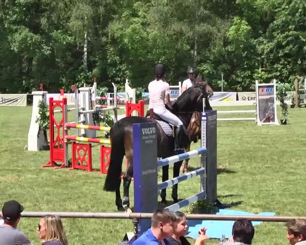 Reitturnier Leingarten 2016