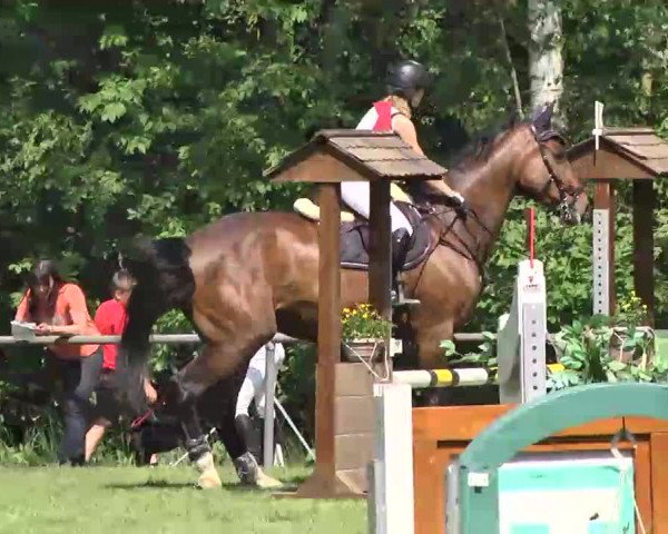 Reitturnier Leingarten 2016