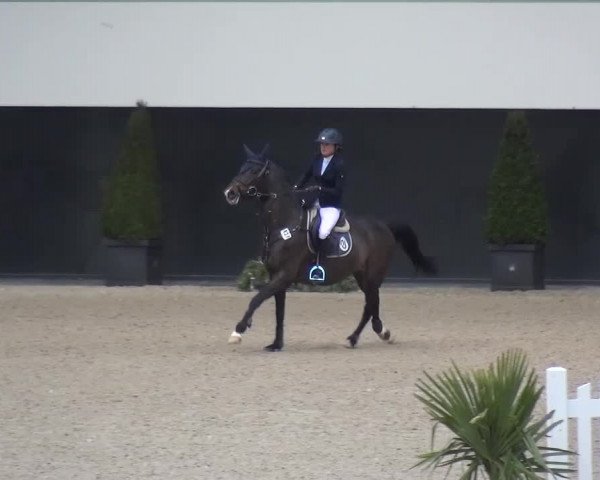 FEI Reitturnier Aachen (GER) 2016