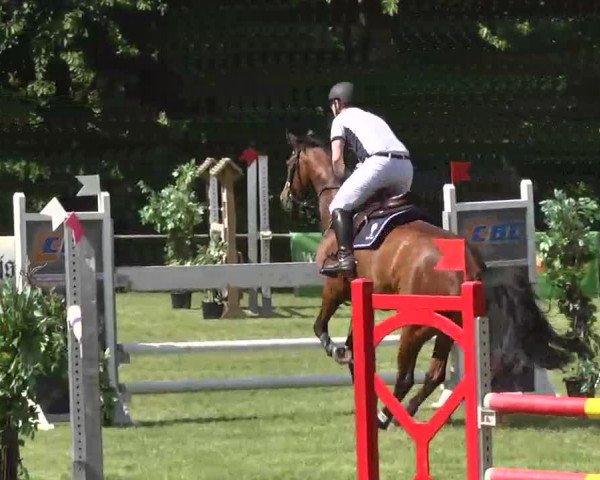 Reitturnier Leingarten 2016