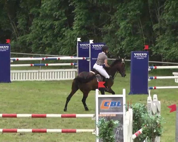 Reitturnier Leingarten 2016