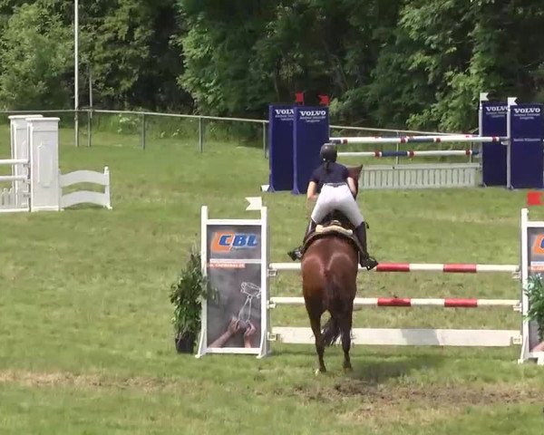 Reitturnier Leingarten 2016
