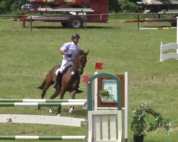 Reitturnier Leingarten 2016