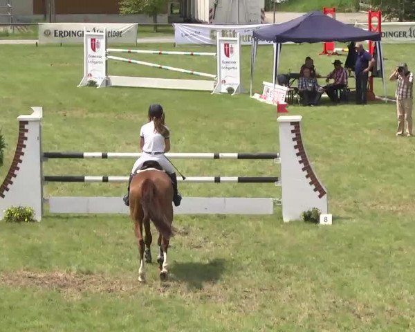Reitturnier Leingarten 2016