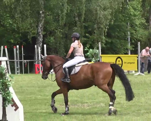 Reitturnier Leingarten 2016