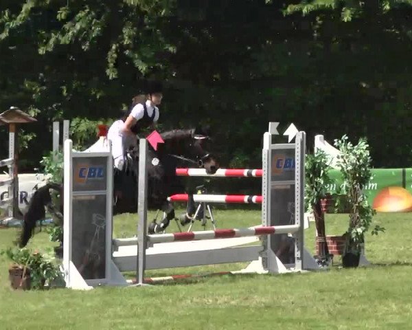 Reitturnier Leingarten 2016