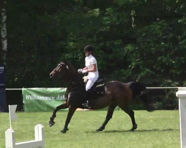 Reitturnier Leingarten 2016