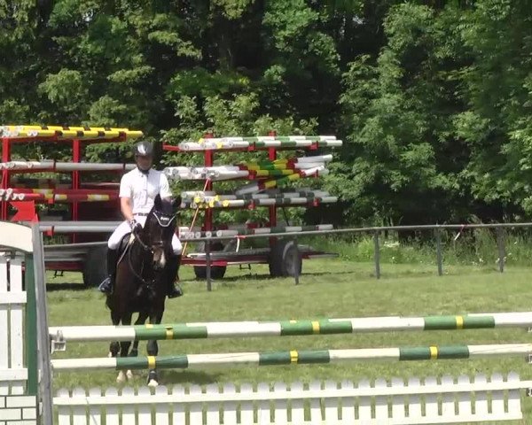 Reitturnier Leingarten 2016