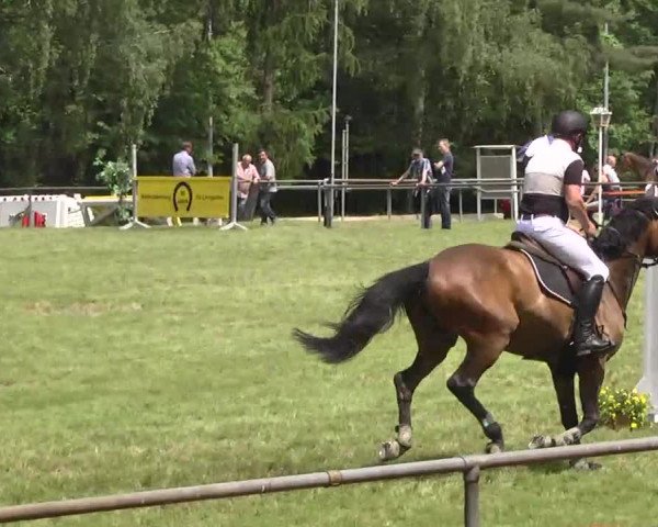 Reitturnier Leingarten 2016