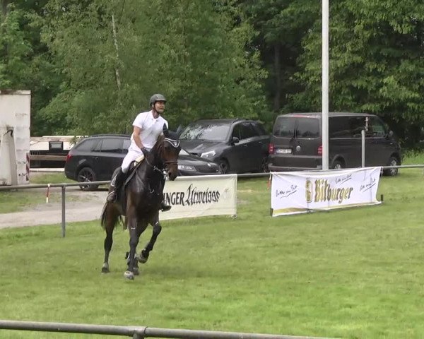 Reitturnier Leingarten 2016