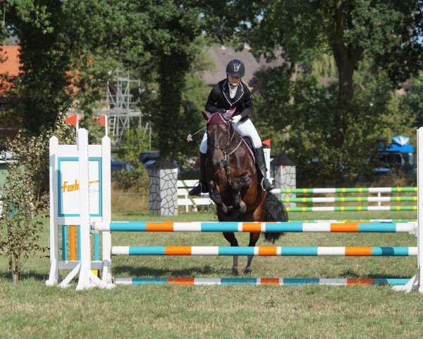 jumper Lillifee 104 (Pony without race description, 2008)