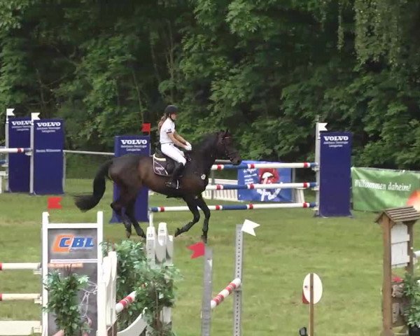 Reitturnier Leingarten 2016