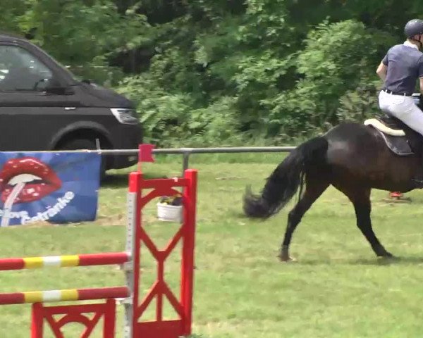 Reitturnier Leingarten 2016