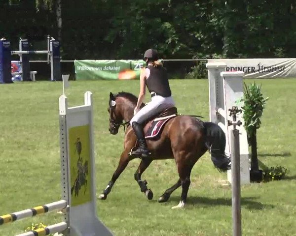 Reitturnier Leingarten 2016