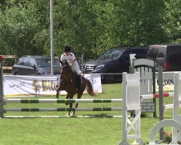 Reitturnier Leingarten 2016
