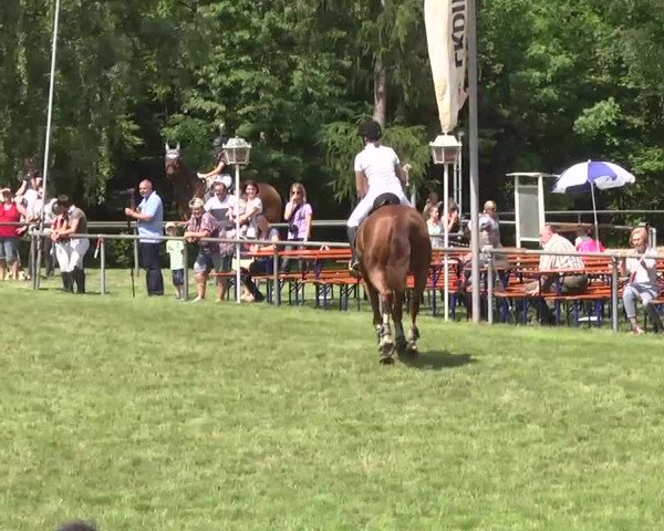 Reitturnier Leingarten 2016