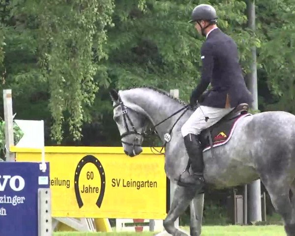 Reitturnier Leingarten 2016