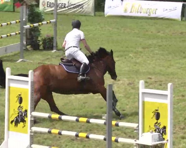 Reitturnier Leingarten 2016