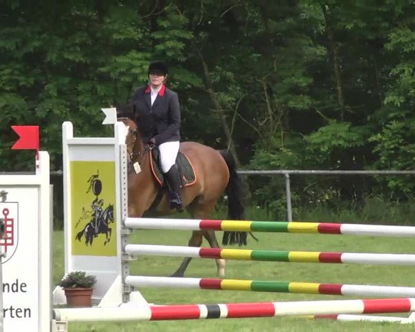 Reitturnier Leingarten 2016